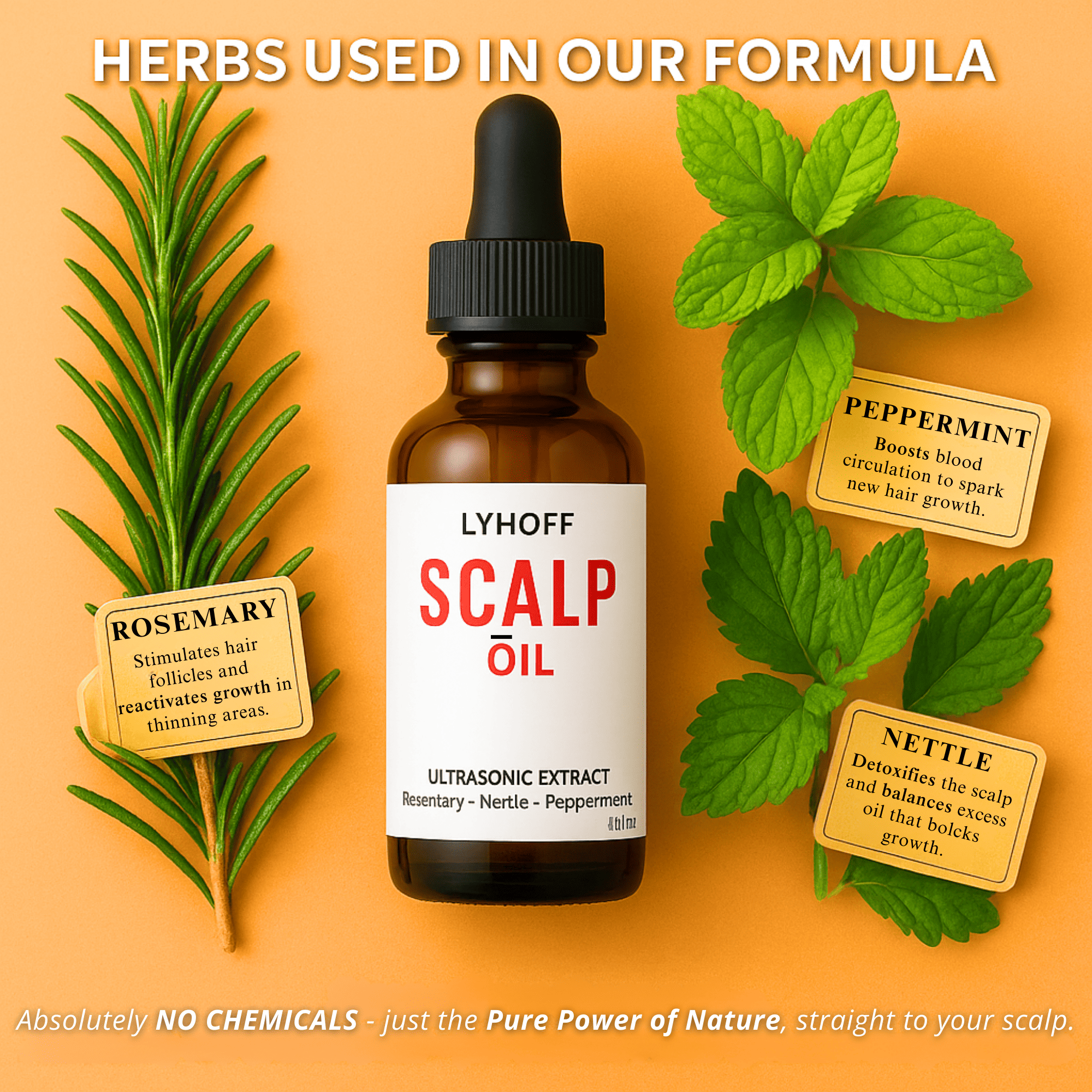 Scalp & Hair Growth Oil
